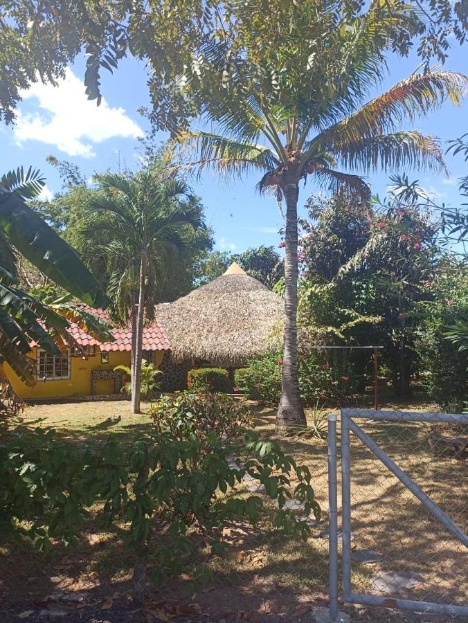 Cabanas Los Colibris San Carlos Luaran gambar