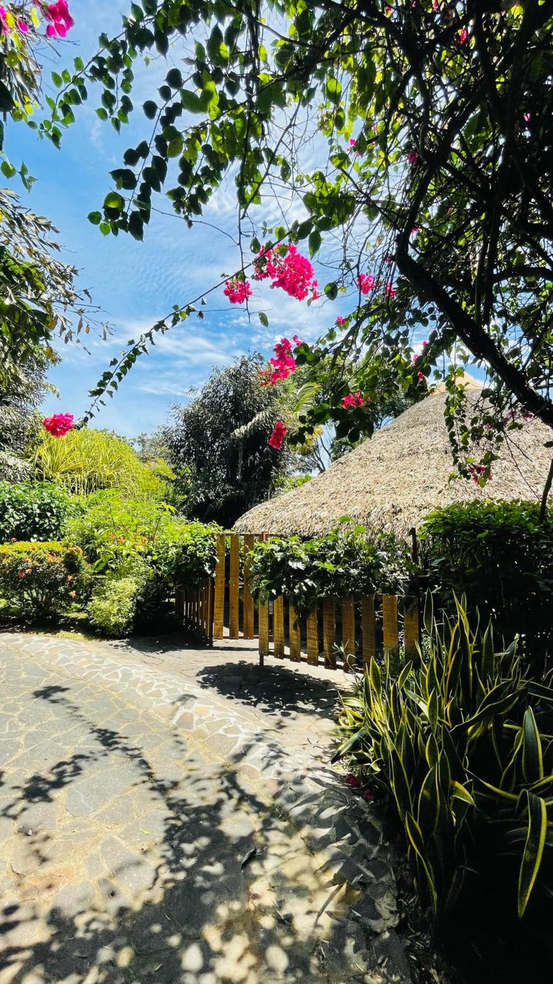 Cabanas Los Colibris San Carlos Luaran gambar