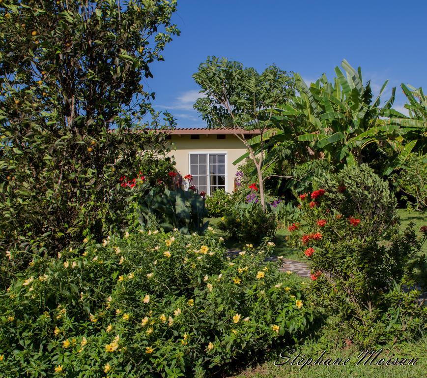 Cabanas Los Colibris San Carlos Bilik gambar