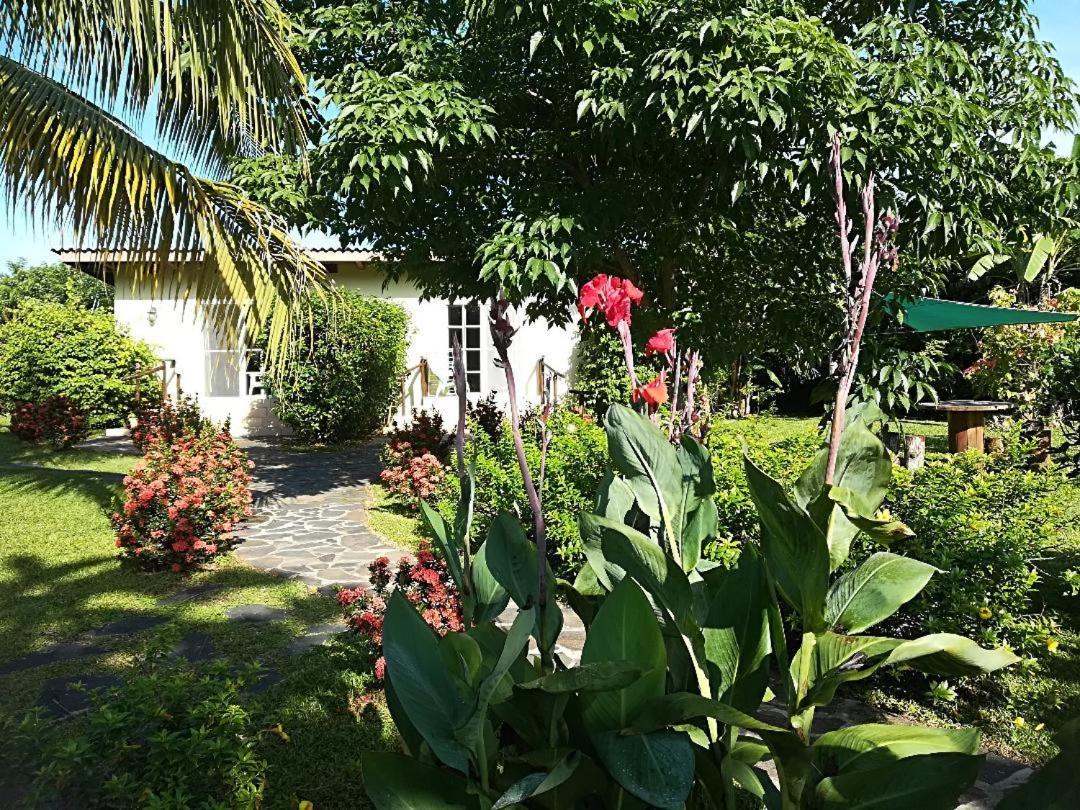 Cabanas Los Colibris San Carlos Luaran gambar