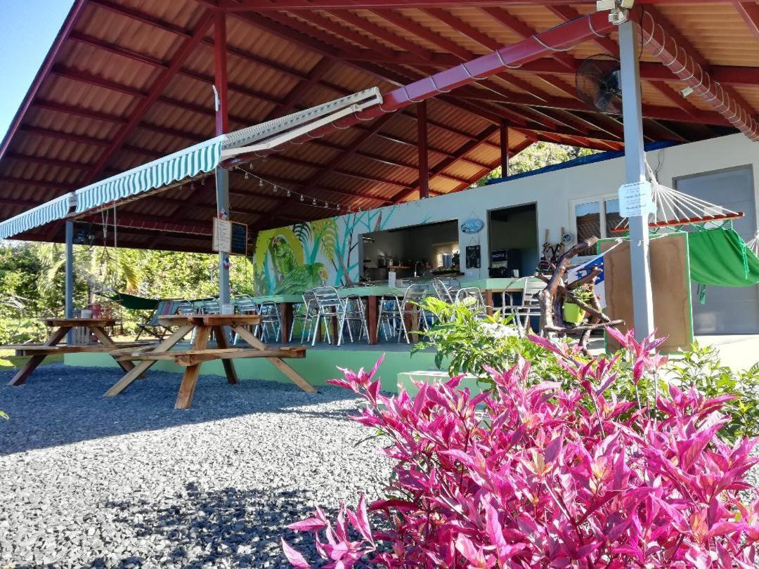 Cabanas Los Colibris San Carlos Luaran gambar